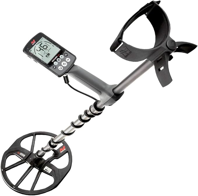 Minelab Equinox 800 Metal Detector